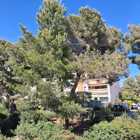 Le Zinnias Apartment Saint-Mandrier-sur-Mer